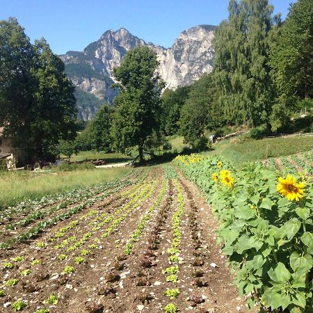 Bauernhof Hof Unternberg Magre all' Adige Exterior foto
